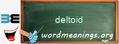 WordMeaning blackboard for deltoid
